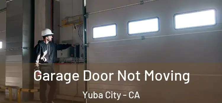  Garage Door Not Moving Yuba City - CA